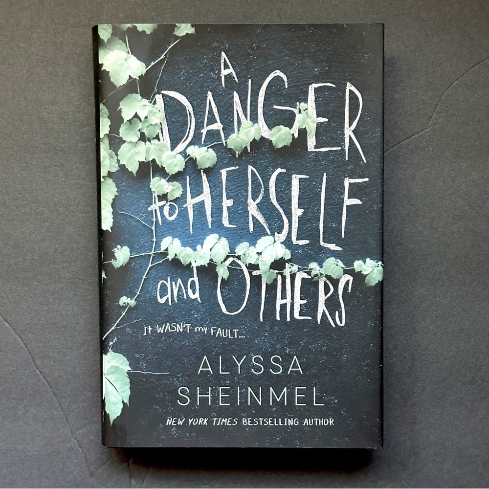 A Danger to Herself and Others by Alyssa Sheinmel | Fiction | Hardcover Book